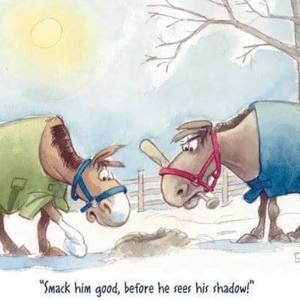 Meet your Posher, Jeananne